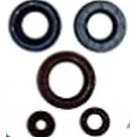 WINDEROSA 2021/07 (VERTEX) KOMPLET (ZESTAW) USZCZELNIACZY SILNIKOWYCH CAN-AM OUTLANDER DPS 450 EFI 15-20, OUTLANDER MAX DPS 450 