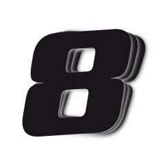 BLACKBIRD NUMERY STARTOWE 25CM X 20CM UKOŚNE, KOLOR CZARNY NR8 (3SZT.)