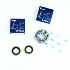 ATHENA 2022/05 ŁOŻYSKA WAŁU KORBOWEGO Z USZCZELNIACZAMI KAWASAKI KDX 200 '93-'03