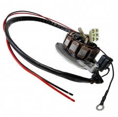 ELECTREX UZWOJENIE ALTERNATORA STATOR KPL. Z REGULATOREM NAPIĘCIA KTM/GAS GAS