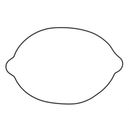 WINDEROSA (VERTEX) USZCZELKA POKRYWY SPRZĘGŁA KTM SX250 03-16, EXC 250 04-05 XCW250 '04-'12, SX/EXC300 (S410270008047) (ORING) (