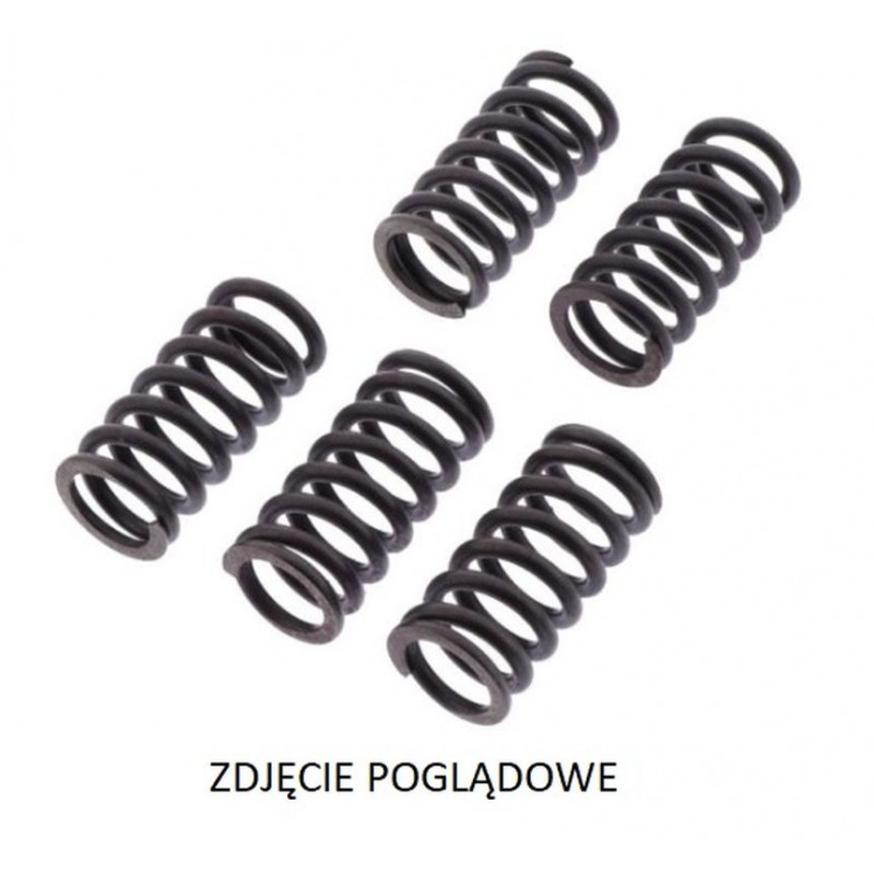 TRW LUCAS ZF SPRĘŻYNY SPRZĘGŁOWE DUCATI 749S/R '03-'07, 916 ST4 '99-'03, 944 ST2 '97-'03, 996 ST4 '01-'03, 999 BIPOSTO '02-'06, 