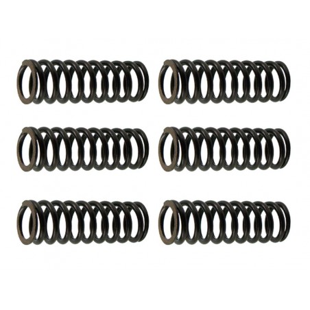 PSYCHIC 2022/11 SPRĘŻYNY SPRZĘGŁOWE SUZUKI RMZ 250 '07-'09, (EBS125)