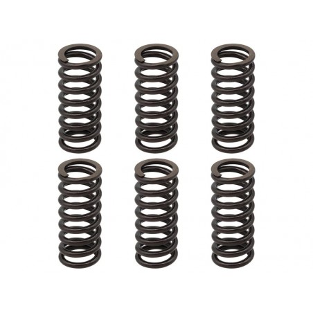 PSYCHIC 2022/11 SPRĘŻYNY SPRZĘGŁOWE KTM EXC 250 RACING '02-'05, EXC-F 250 '03-'04, EXC 400 '01-'07, SX/MXC '00-'02, EXC/MXC/SMR/