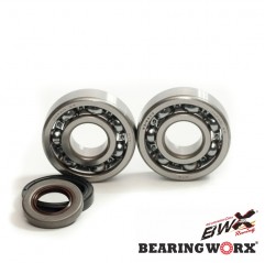 BEARING WORX ŁOŻYSKA WAŁU KORBOWEGO Z USZCZELNIACZAMI GAS GAS EC 125 '10- (MADE IN JAPAN) (NTN)