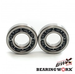 BEARING WORX ŁOŻYSKA WAŁU KORBOWEGO GAS GAS EC 250 4T '10-12, EC 250F '13 (MADE IN JAPAN) (NTN)