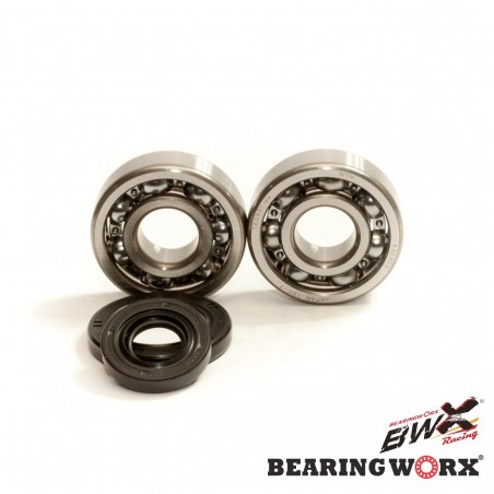 BEARING WORX ŁOŻYSKA WAŁU KORBOWEGO Z USZCZELNIACZAMI KTM SX 65 09-17 (MADE IN JAPAN) (NTN) (24-1103)