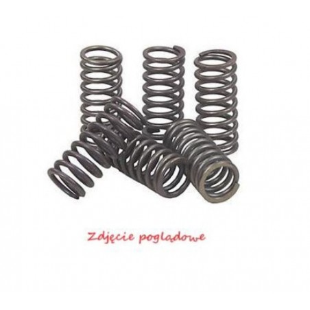 NACHMAN 2022/12 SPRĘŻYNY SPRZĘGŁOWE KAWASAKI KLX 450R '08-'12, KX 450F '06-'11