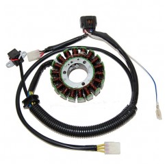 ELECTROSPORT UZWOJENIE ALTERNATORA (STATOR) POLARIS 500 '03-'07 (Z IMPULSATOREM)