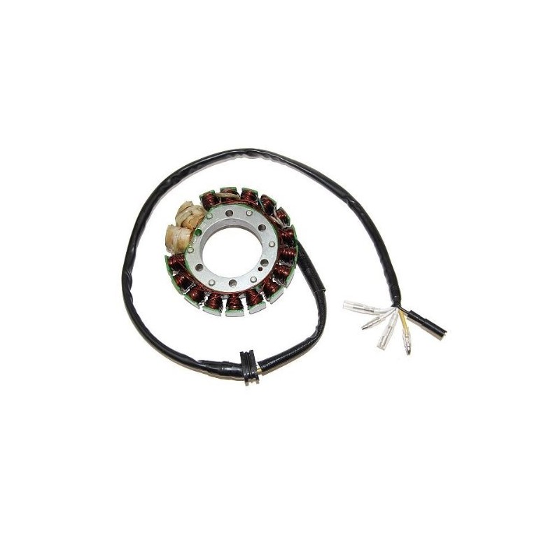 ELECTROSPORT UZWOJENIE ALTERNATORA (STATOR) HONDA XR 600R (85-00), XL 600R (83-87) HIGH POWER (2 X 100W)