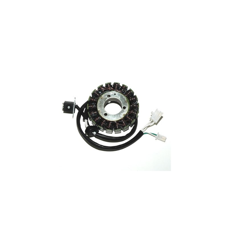 ELECTROSPORT UZWOJENIE ALTERNATORA (STATOR) SUZUKI DL 650 V-STROM (02-07)