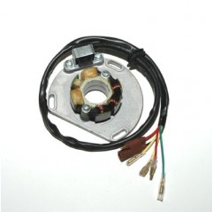 ELECTROSPORT UZWOJENIE ALTERNATORA (STATOR) ZE ŚWIATŁAMI KTM (50W) (Z PŁYTĄ I IMPULSATOREM) SX/EXC 125 98-05, SX/EXC250 97-05, E