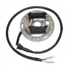 ELECTROSPORT UZWOJENIE ALTERNATORA (STATOR) ZE ŚWIATŁAMI SUZUKI LT80 Quadsport (87-06)