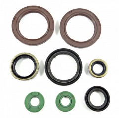 BEARING WORX 2022/12 Engine Oil Seal Kit (822248)