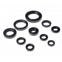 BEARING WORX 2022/12 Engine Oil Seal Kit (822270)