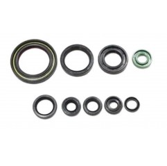 BEARING WORX 2022/12 Engine Oil Seal Kit (822357)