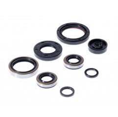 BEARING WORX 2022/12 Engine Oil Seal Kit (822264)