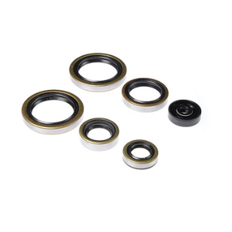 BEARING WORX 2022/12 Engine Oil Seal Kit (822187)