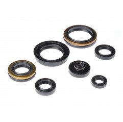 BEARING WORX 2022/12 Engine Oil Seal Kit (822266)