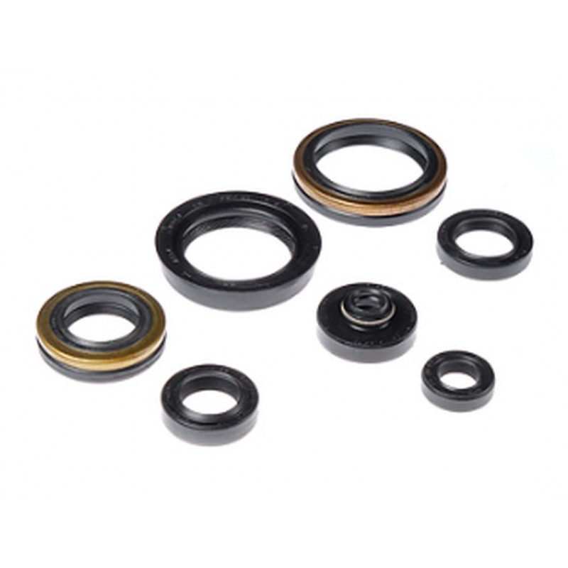 BEARING WORX 2022/12 Engine Oil Seal Kit (822266)