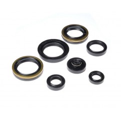 BEARING WORX 2022/12 Engine Oil Seal Kit (822317)