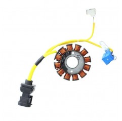 ELECTROSPORT UZWOJENIE ALTERNATORA (STATOR) APRILIA / DERBI / GILERA / ITALJET / MALAGUTI / PIAGGIO / VESPA 125/150/200CCM