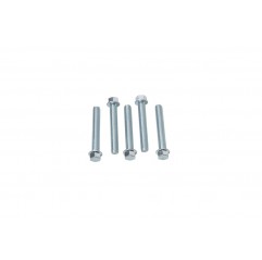 ACCEL 2023/08 ŚRUBA KOŁNIERZOWA M6X40MM Z PŁASKIM ŁBEM BEZ OZNACZEŃ (5 SZT.)