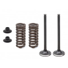 PSYCHIC 2023/10 ZAWORY WYDECHOWE (ZESTAW ZE SPRĘŻYNAMI I PODKŁADKAMI) HONDA CRF 250R '16-17 STALOWE (14721-KRN-B10)