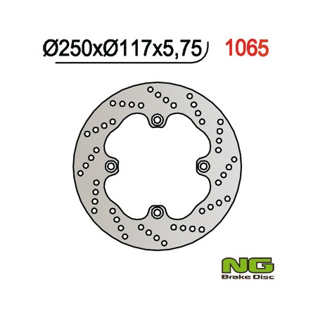 NG TARCZA HAMULCOWA TYŁ SUZUKI AN 650 BURGMAN '02-'03 (250X117X5,7) (4X10,5MM)