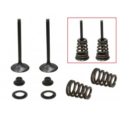 PSYCHIC 2024/03 ZAWORY SSĄCE (KOMPLET ZAWORÓW ZE SPRĘŻYNAMI I PODKŁADKAMI) HUSABERG FE 450 / 550 / 650, FS 650 '04-'08, KTM SXS 