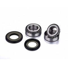 FACTORY LINKS 2024/03 ŁOŻYSKA GŁÓWKI RAMY Z USZCZELNIACZAMI KAWASAKI KL / KLR 250 / 600, VN 750 / 800 / 1500, ZX6, ZX9, ZR7 (22-