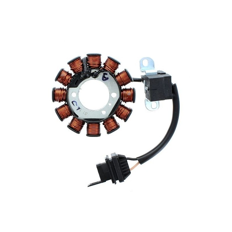 ELECTROSPORT UZWOJENIE ALTERNATORA (STATOR) APRILIA SCARABEO 50 4T '02-'10, 100 4T '01-'10, PIAGGIO 50 FLY '05-'13, ZIP '00-'14