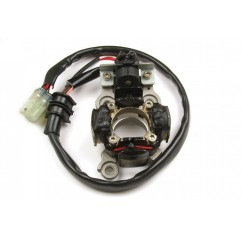 ELECTREX UZWOJENIE ALTERNATORA STATOR YAMAHA YZF 450 (06-09)