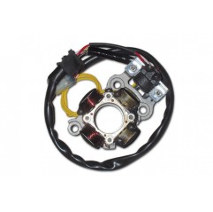 ELECTREX UZWOJENIE ALTERNATORA STATOR ZE ŚWIATŁAMI YAMAHA YZF 450 (06-09)