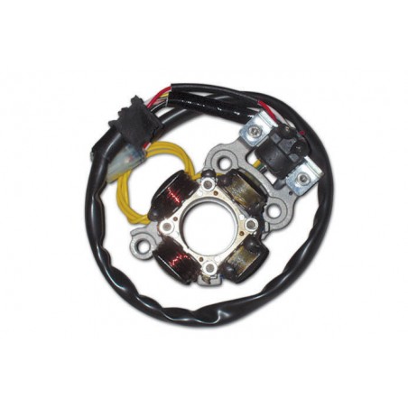 ELECTREX UZWOJENIE ALTERNATORA STATOR ZE ŚWIATŁAMI YAMAHA YZF 450 (06-09)