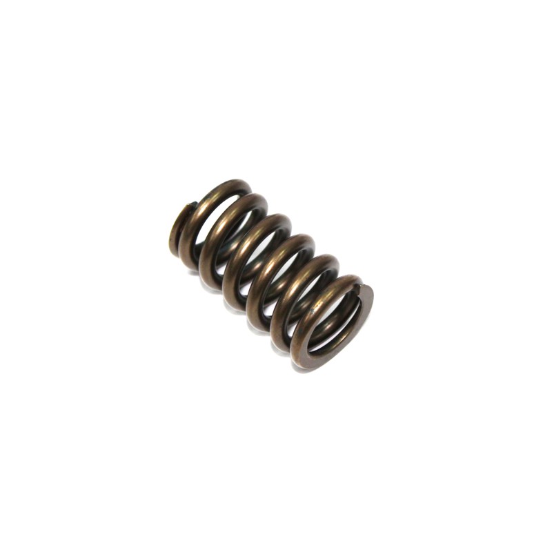 NACHMAN SPRĘŻYNA ZAWORU SSĄCEGO KAWASAKI KXF 450 '06-'17, KFX 450R '08-14, KLX 450R '08-17 (PSYCHIC) (MX-09528IS)