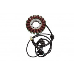 ELECTROSPORT 2025/02 UZWOJENIE ALTERNATORA STATOR TRIUMPH TIGER 800