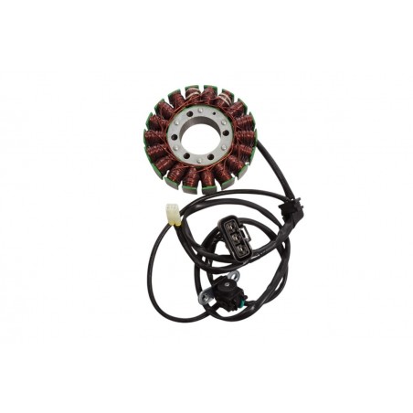 ELECTROSPORT 2025/02 UZWOJENIE ALTERNATORA STATOR TRIUMPH TIGER 800