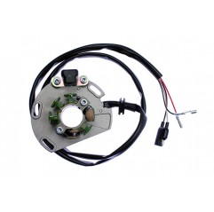 ELECTREX UZWOJENIE ALTERNATORA (STATOR) GAS GAS EC 125, EC250