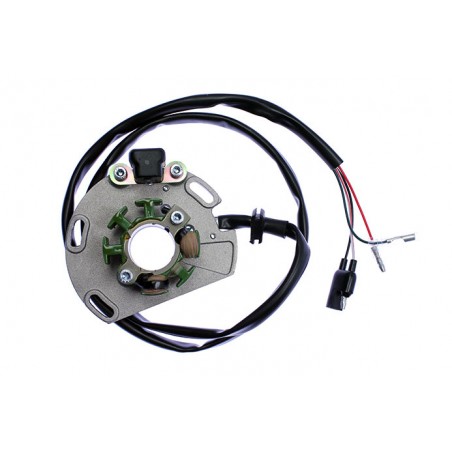 ELECTREX UZWOJENIE ALTERNATORA (STATOR) GAS GAS EC 125, EC250