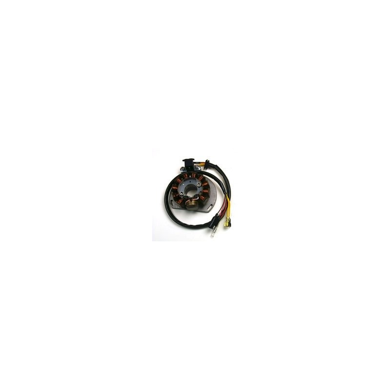 ELECTREX UZWOJENIE ALTERNATORA STATOR KTM 125/200/300 HI POWER WATT