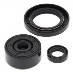 WINDEROSA 2021/07 (VERTEX) KOMPLET (ZESTAW) USZCZELNIACZY SILNIKOWYCH YAMAHA XT250 08-21, YFM 250 RAPTOR 08-13