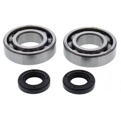 ALL BALLS ŁOŻYSKA WAŁU KORBOWEGO Z USZCZELNIACZAMI GAS-GAS TXT TRIALS 250 98-01, TXT TRIALS 280 98-01, TXT TRIALS 300 98-01