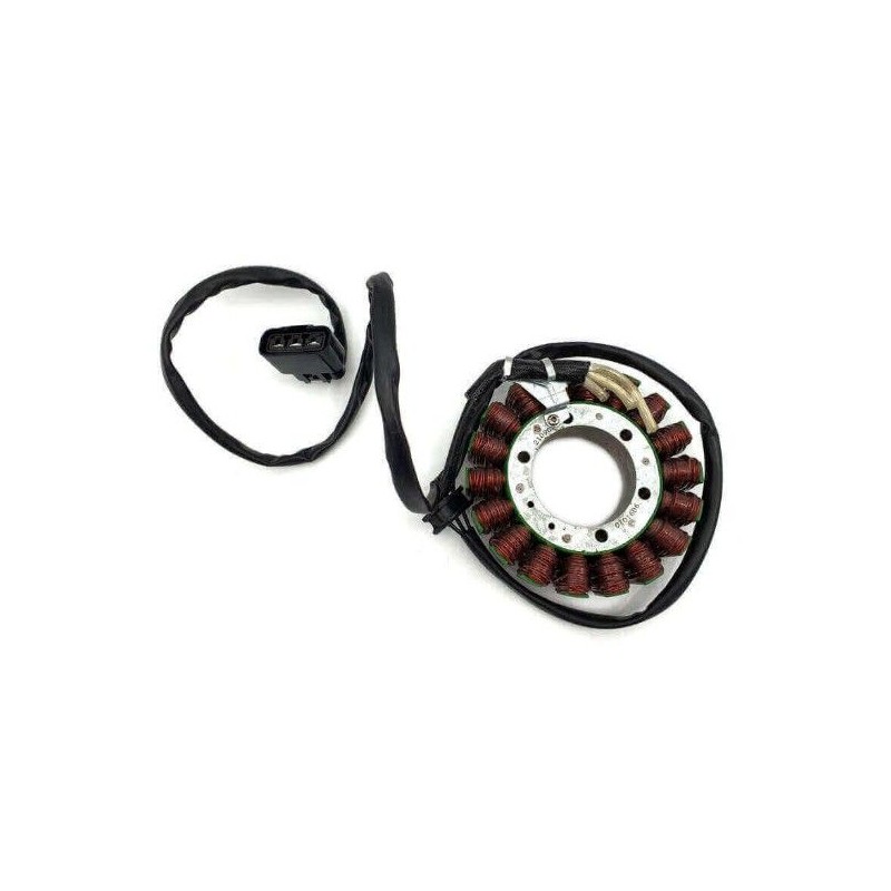 ELECTROSPORT 2025/02 UZWOJENIE ALTERNATORA STATOR BMW F 750 / F 850 / F 900