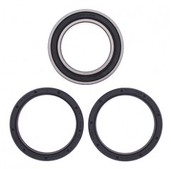 ALL BALLS ŁOŻYSKA KOŁA TYLNEGO Z USZCZELNIACZAMI CAN-AM DS450 EFI/STD/X '09-'14 UPGRADE