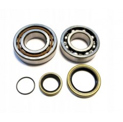 BEARING WORX ŁOŻYSKA WAŁU KORBOWEGO HONDA CR 250 '84-'91, CR 500 '84-01 (NTN) (24-1004)