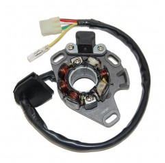 ELECTROSPORT UZWOJENIE ALTERNATORA (STATOR) ZE ŚWIATŁAMI SUZUKI RM 250 (01-08) 50W