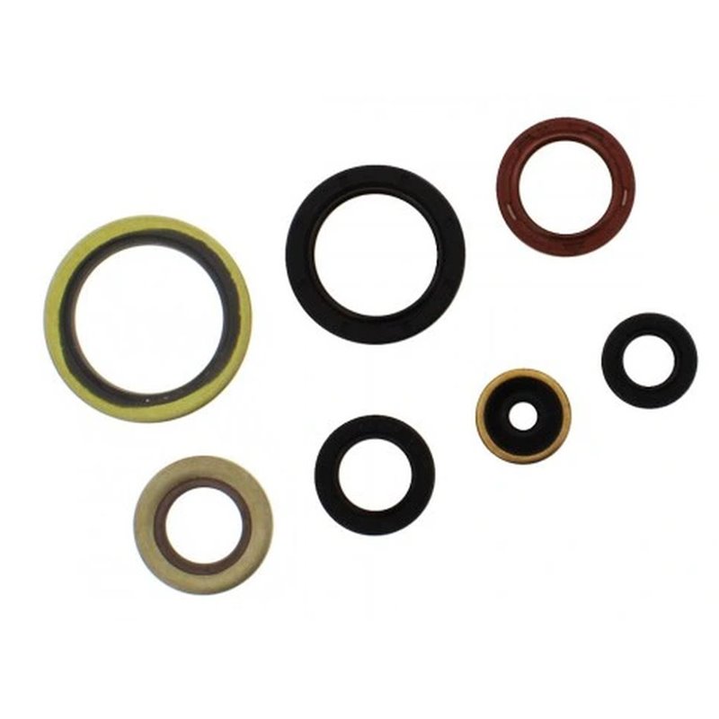 Athena x, sada gufer motoru, KTM EXC 250/300`17-'21, EXC 250 TPI '18-'21, SX 250`17-'21, Husqvarna TE 250/3