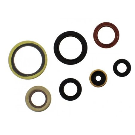 Athena x, sada gufer motoru, KTM EXC 250/300`17-'21, EXC 250 TPI '18-'21, SX 250`17-'21, Husqvarna TE 250/3