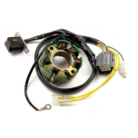 ELECTREX UZWOJENIE ALTERNATORA STATOR ZE ŚWIATŁAMI SUZUKI RMZ 250 (04-05), KAWASAKI KXF 250 (04-05)